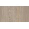 3188 - quercia santana kalk